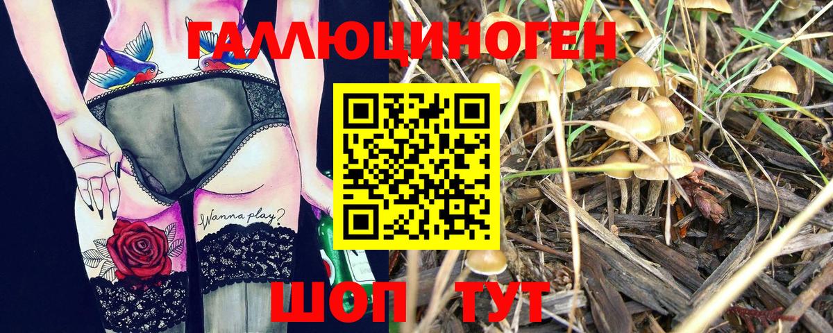 Галлюциногенные грибы прущие грибы  Галлюциногенные грибы GOLDEN TEACHER  Вход с VPN  Новый Уренгой 