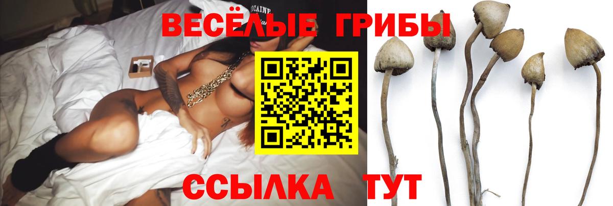 Галлюциногенные грибы GOLDEN TEACHER Новый Уренгой