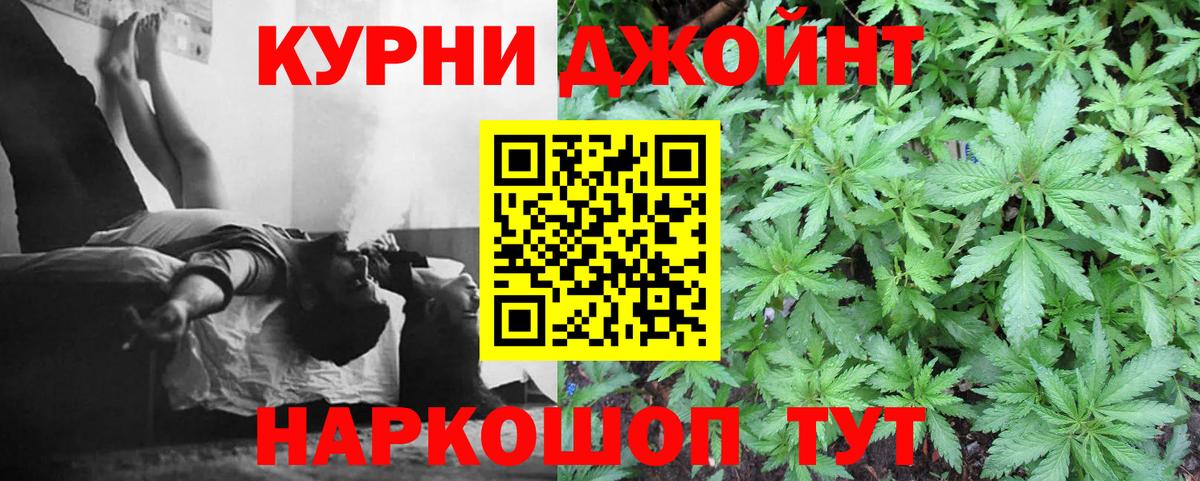 Бошки Шишки план  Каннабис Ganja  Новый Уренгой  Вход с VPN 